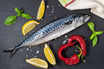 Imported spanish mackerel